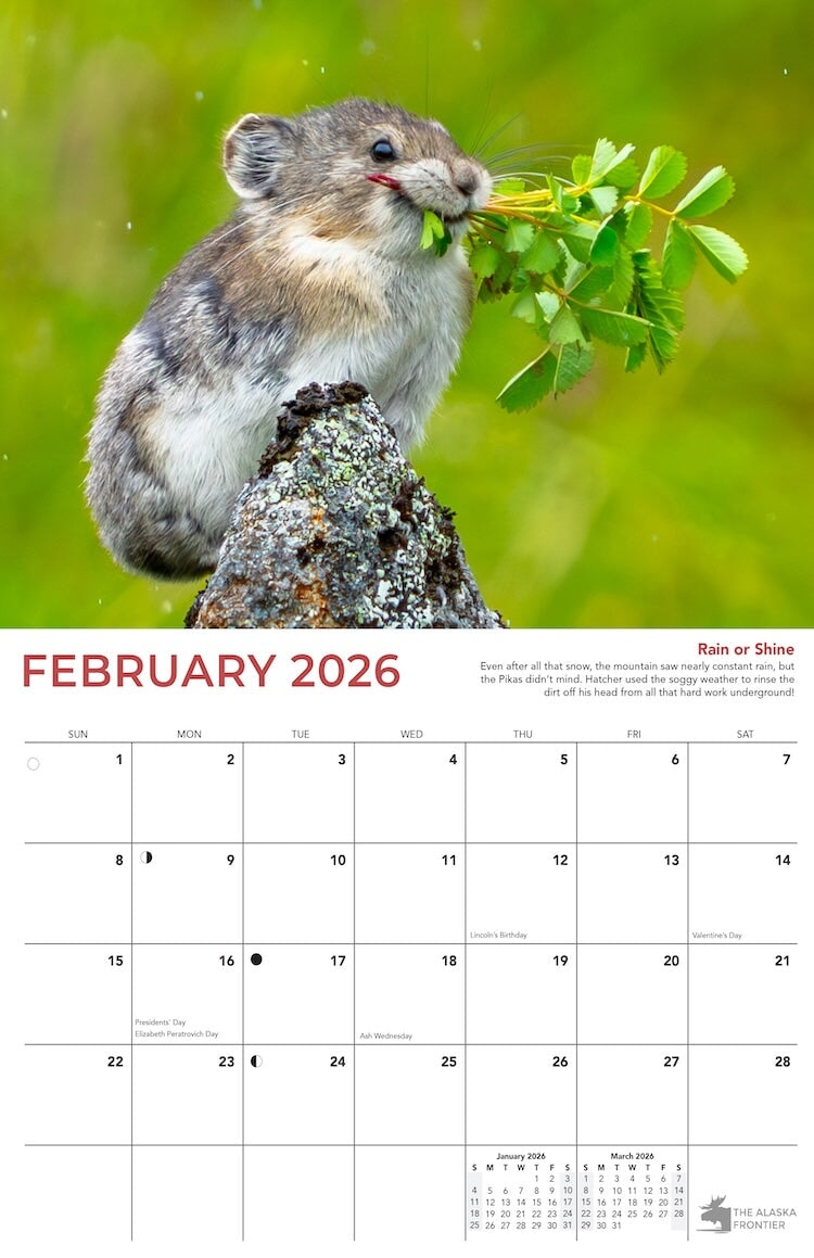 Hatcher the Pika 2026 Calendar