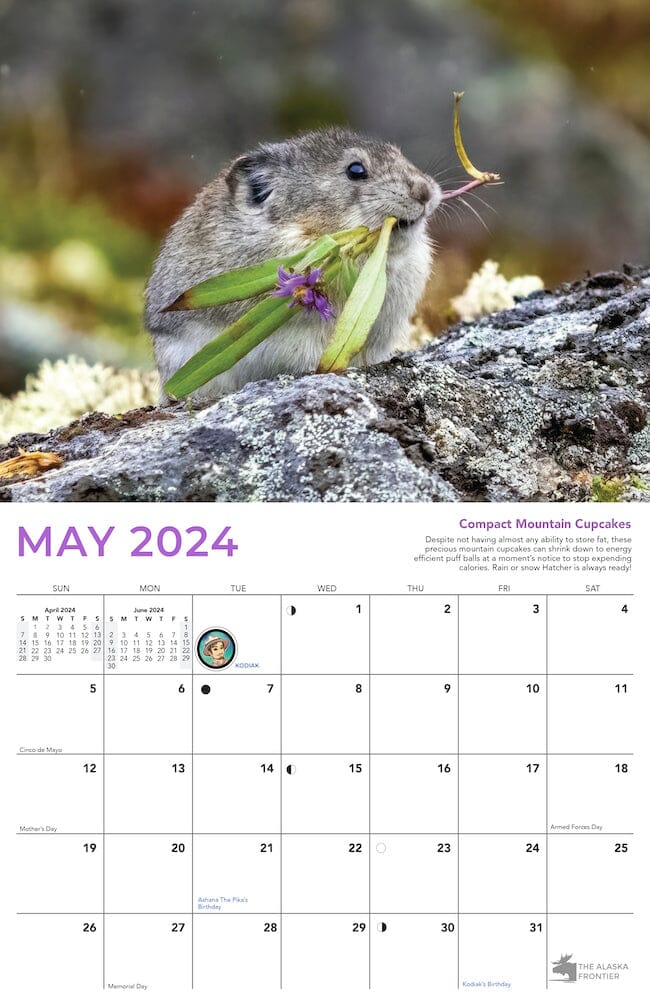 Hatcher The Pika 2024 Calendar