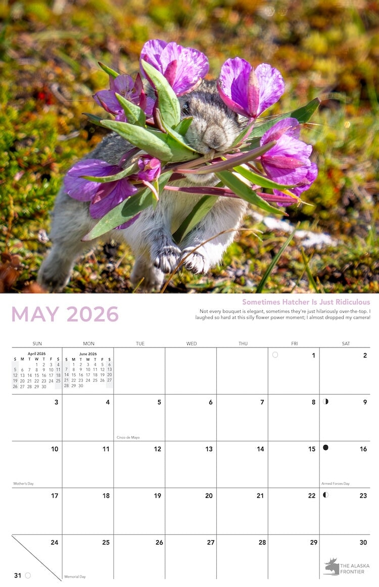 Hatcher the Pika 2026 Calendar