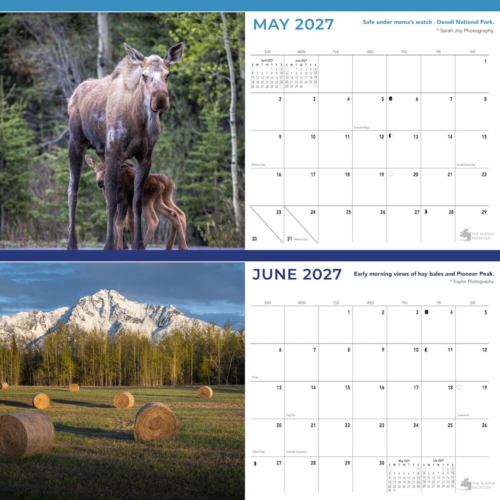2027 Desk Calendar