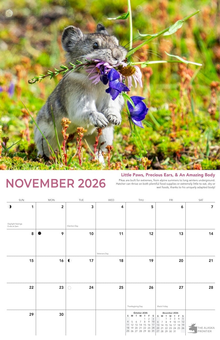 Hatcher the Pika 2026 Calendar