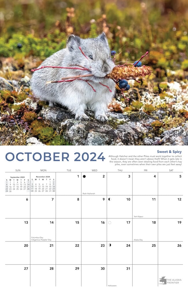 Hatcher The Pika 2024 Calendar