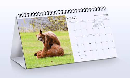 2021 Desk Calendar