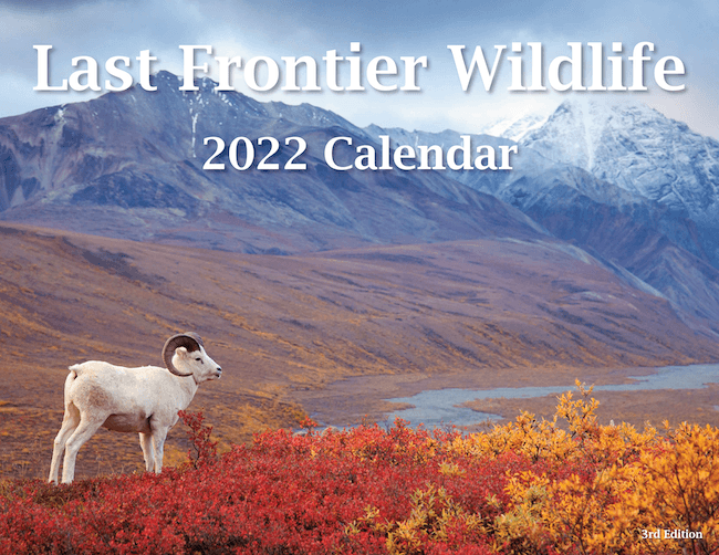 2022 Alaska Wildlife Calendar