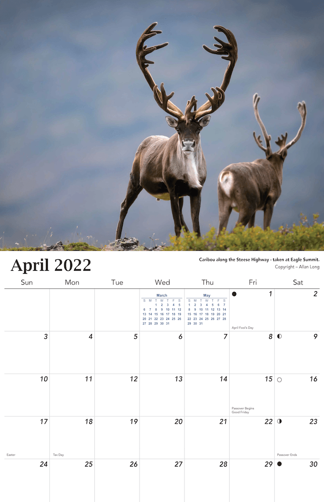 2022 Alaska Wildlife Calendar