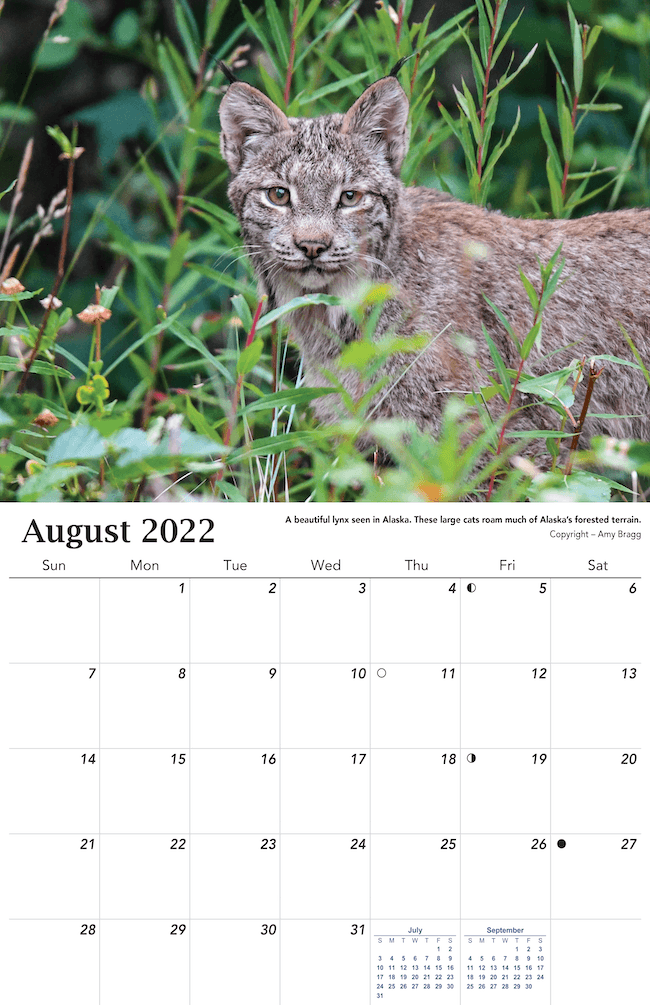 2022 Alaska Wildlife Calendar