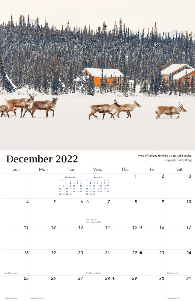 2022 Alaska Wildlife Calendar
