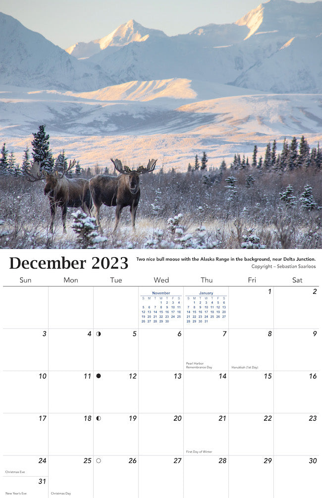 Alaska Wildlife Calendar 2023 - December