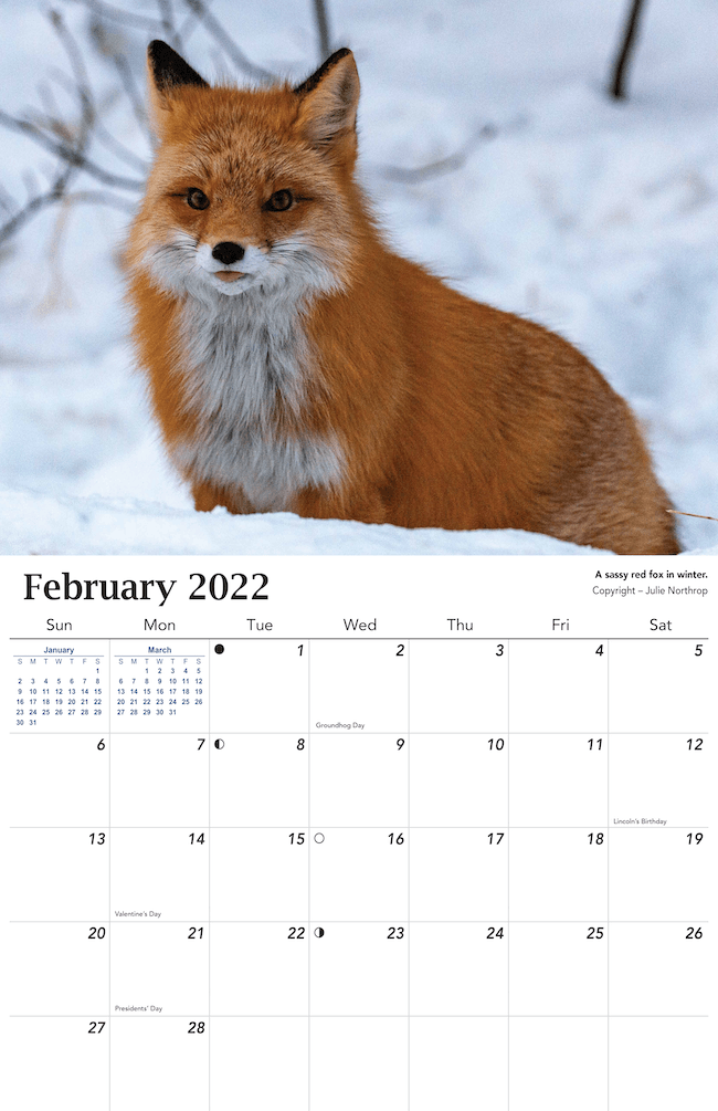 2022 Alaska Wildlife Calendar