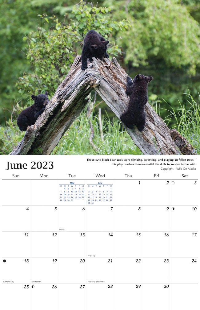Alaska Wildlife Calendar 2023 - June