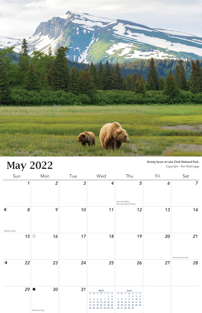 2022 Alaska Wildlife Calendar