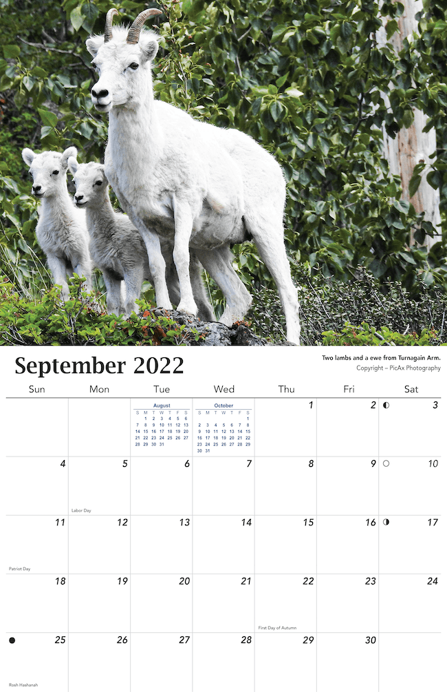 2022 Alaska Wildlife Calendar
