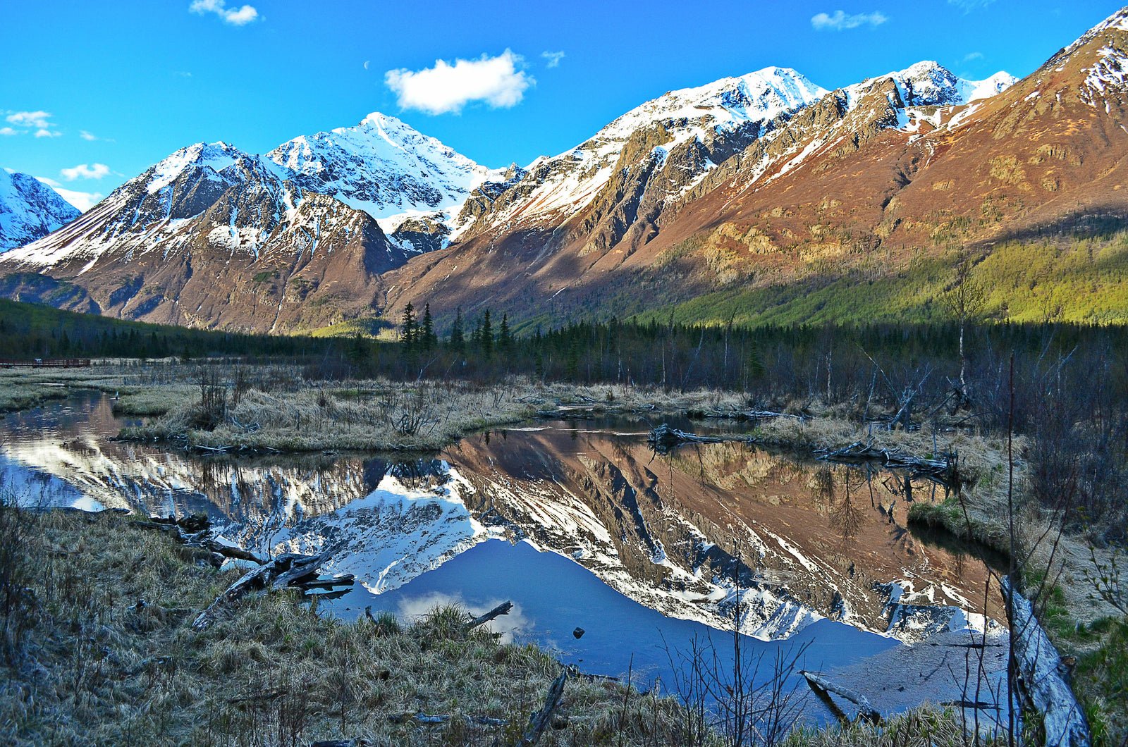 Traveling To Alaska in 2020? Check Out This Guide