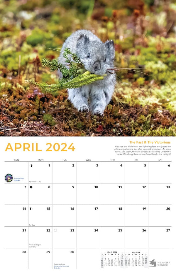 Hatcher The Pika 2024 Calendar From Alaska The Alaska Frontier