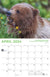 2024 Alaska Wildlife Calendar