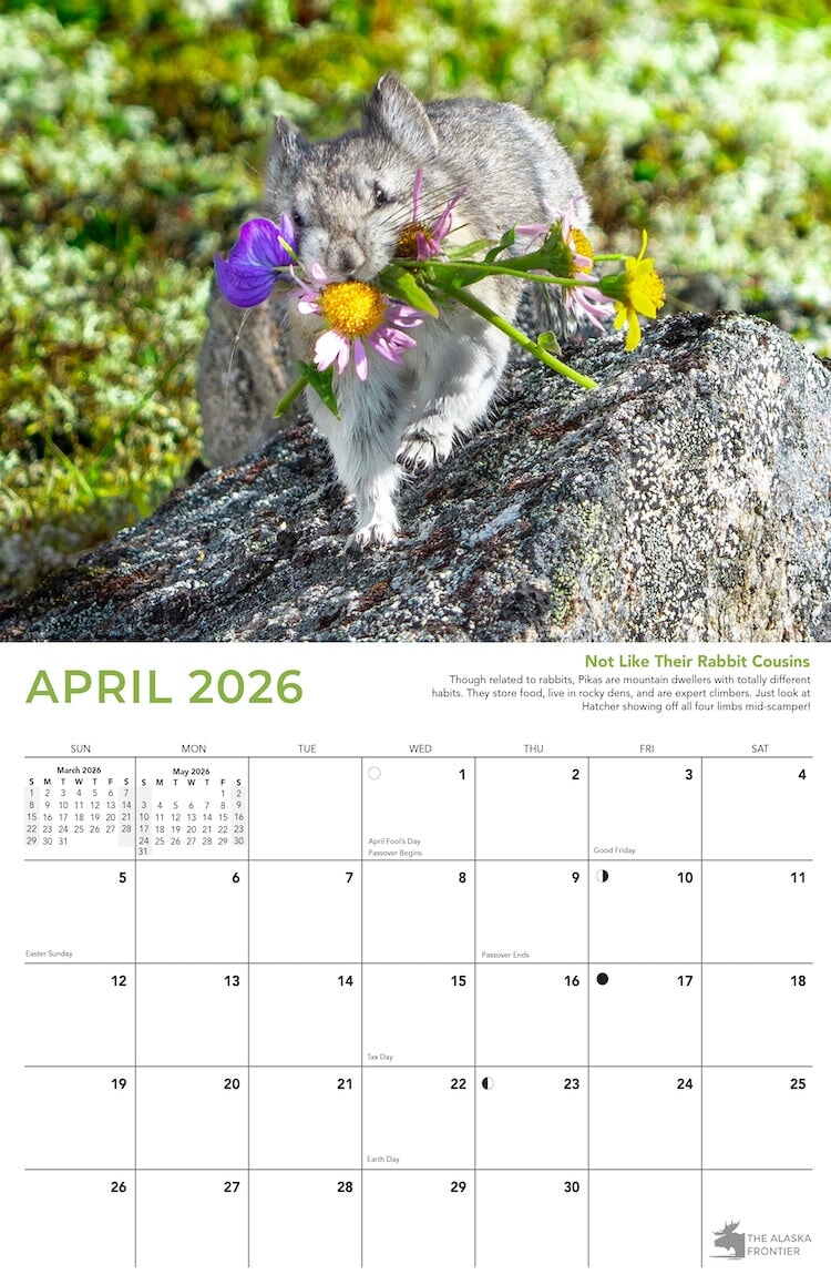 Hatcher the Pika 2026 Calendar