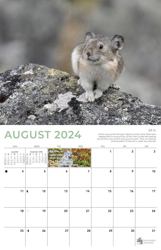 Hatcher The Pika 2024 Calendar