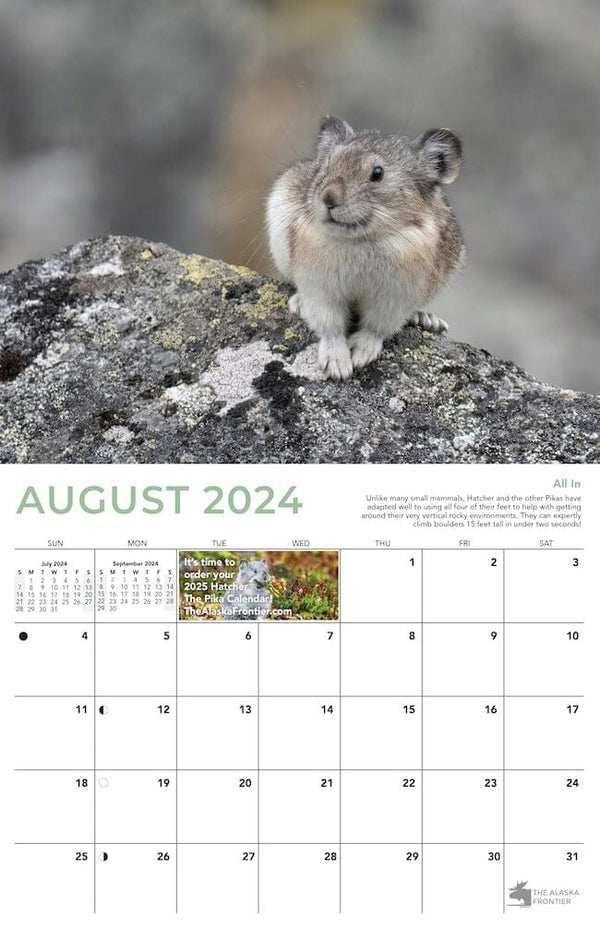 Hatcher The Pika 2024 Calendar From Alaska The Alaska Frontier