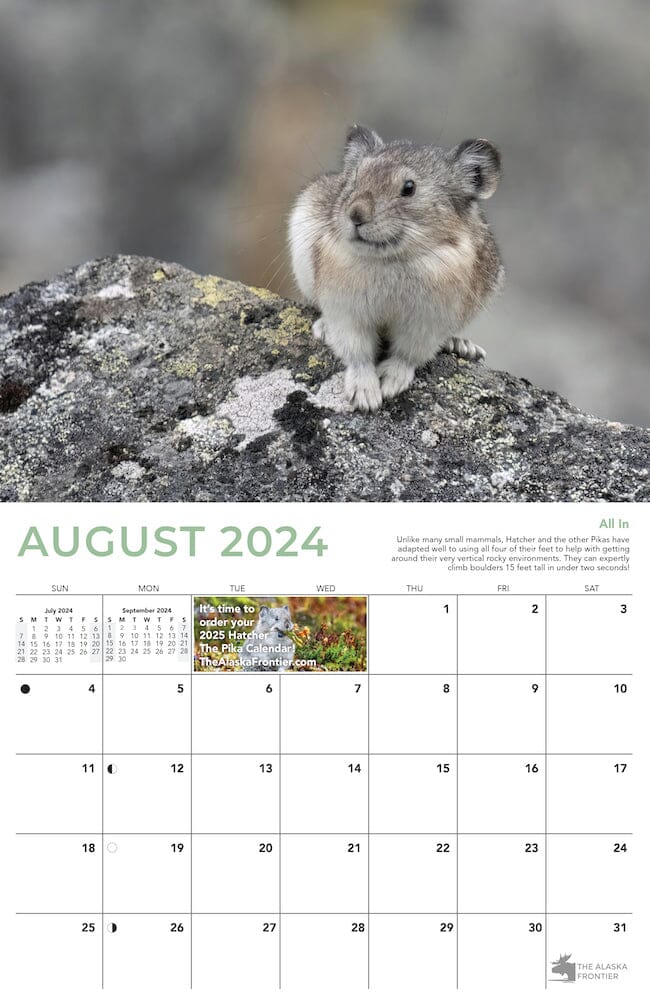 Hatcher The Pika 2024 Calendar From Alaska The Alaska Frontier