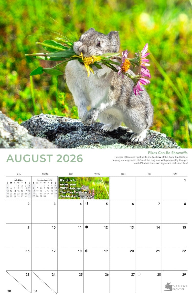 Hatcher the Pika 2026 Calendar