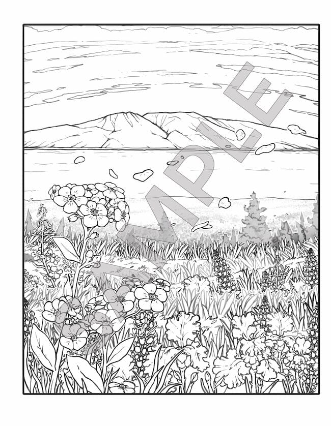 Alaska Coloring Book Sample Page Flowers