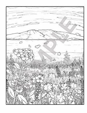 Alaska Coloring Book Sample Page Flowers