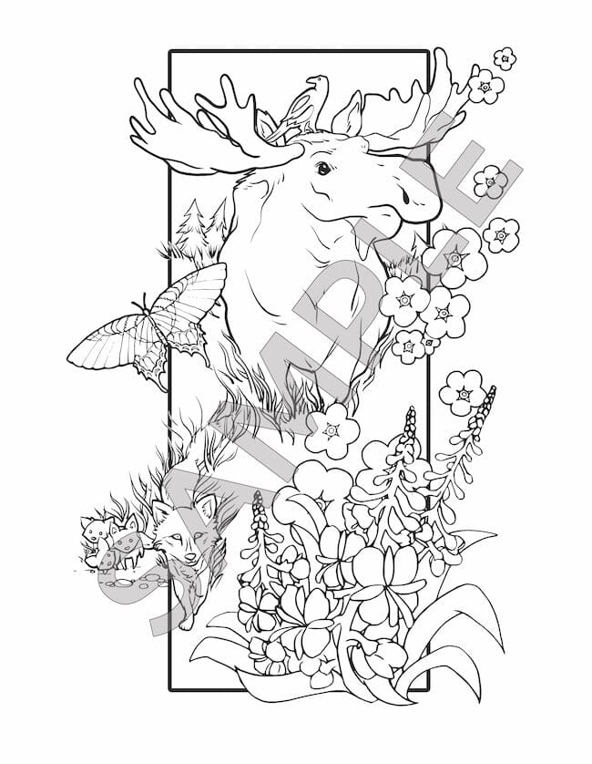 The Alaska Frontier Coloring Adventure Book