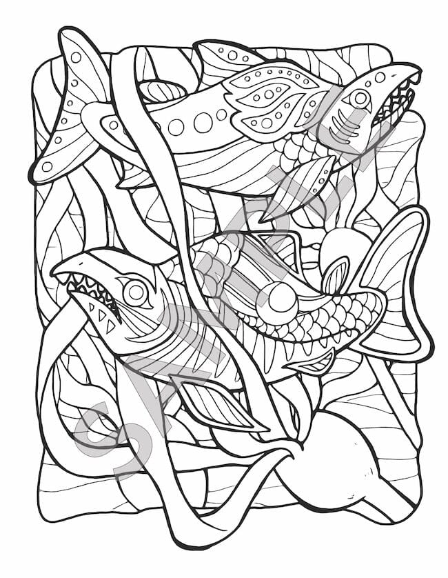 The Alaska Frontier Coloring Adventure Book