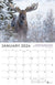 2024 Alaska Wildlife Calendar