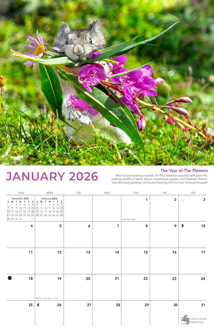 Hatcher the Pika 2026 Calendar