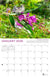 Hatcher the Pika 2026 Calendar