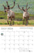2024 Alaska Wildlife Calendar