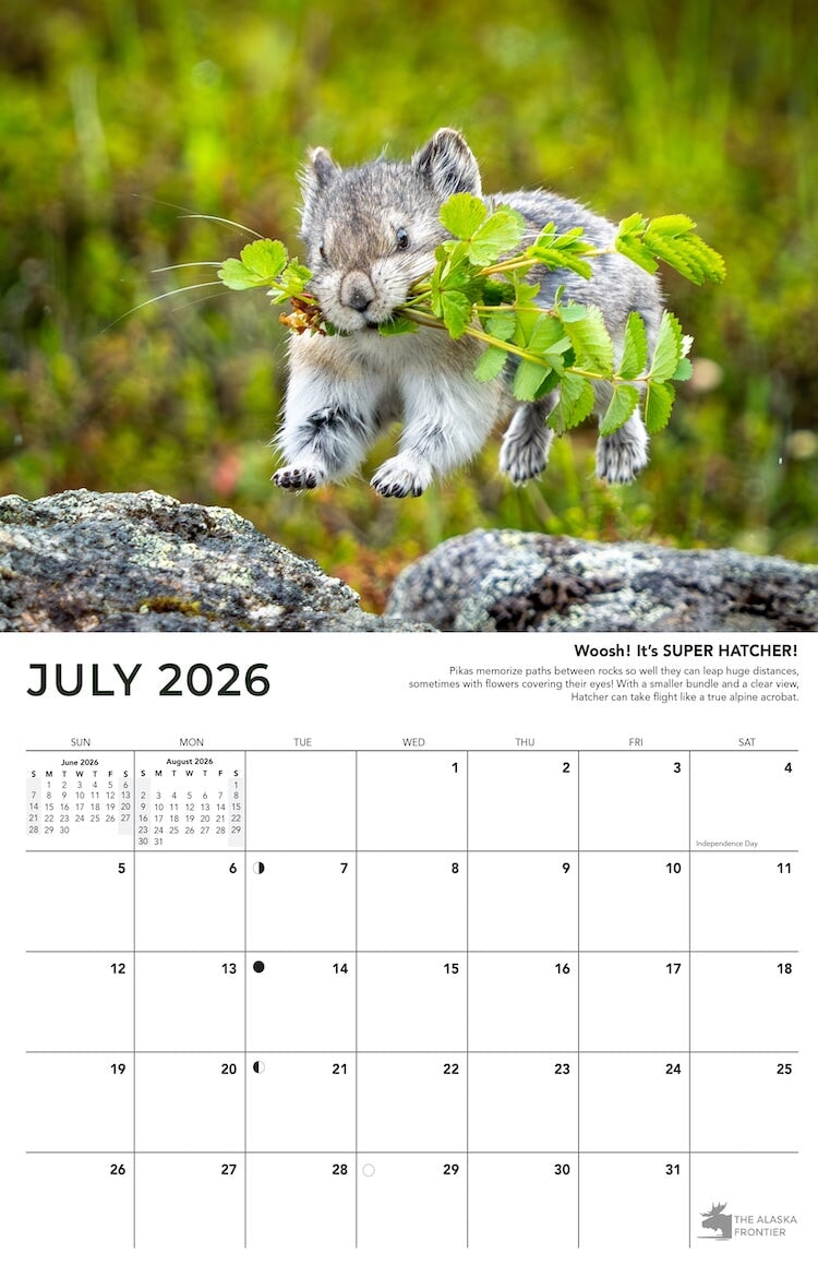 Hatcher the Pika 2026 Calendar