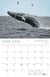 2025 Alaska Wildlife Calendar