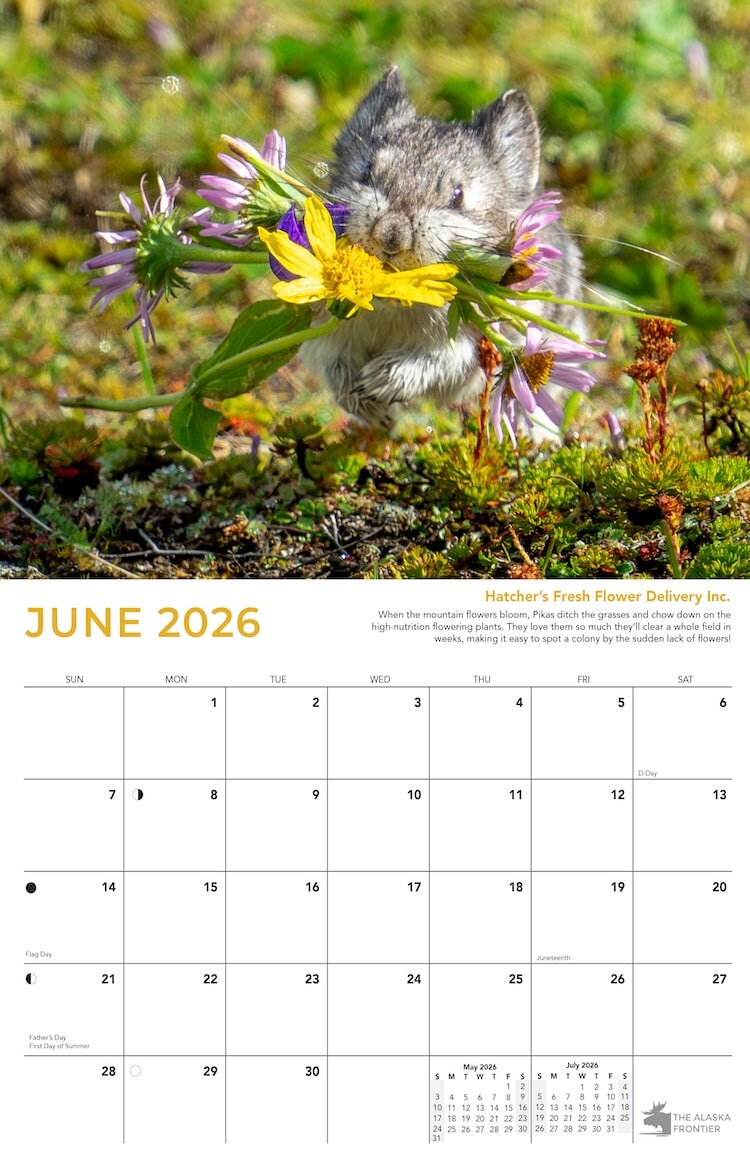 Hatcher the Pika 2026 Calendar