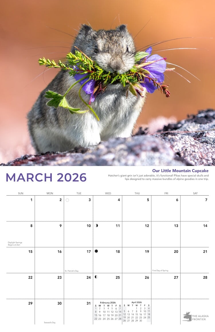 Hatcher the Pika 2026 Calendar