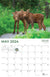2024 Alaska Wildlife Calendar