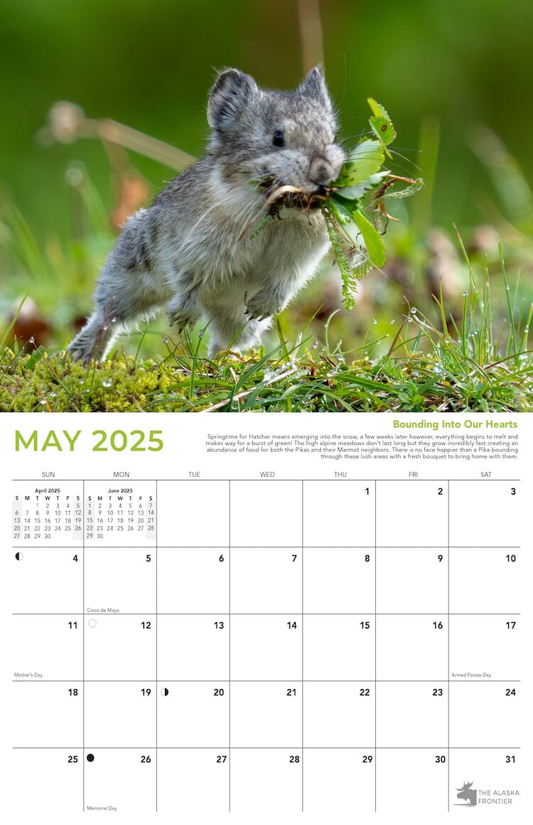 Hatcher The Pika 2025 Calendar