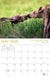 2025 Alaska Wildlife Calendar