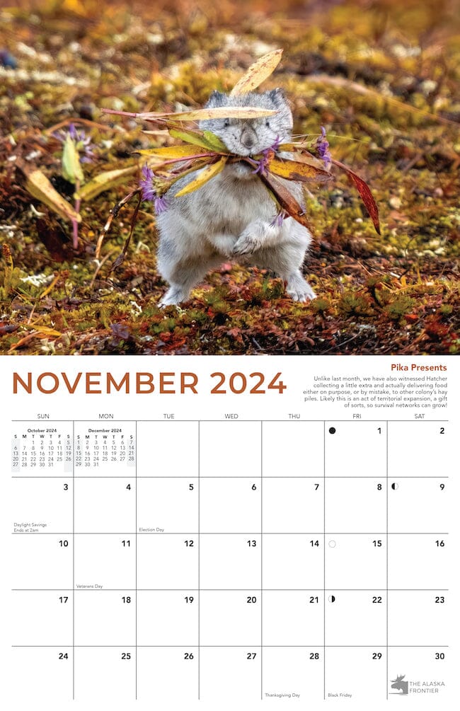 Hatcher The Pika 2024 Calendar
