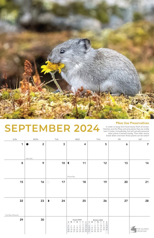 Hatcher The Pika 2024 Calendar