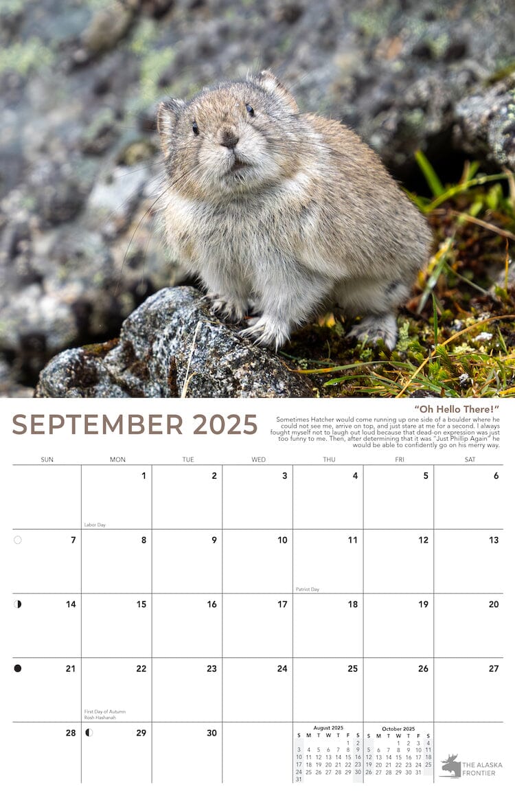 Hatcher The Pika 2025 Calendar From Alaska | Now Shipping - The Alaska Frontier hatcher-the-pika-2025-calendar-from-alaska-now-shipping-the-alaska-frontier