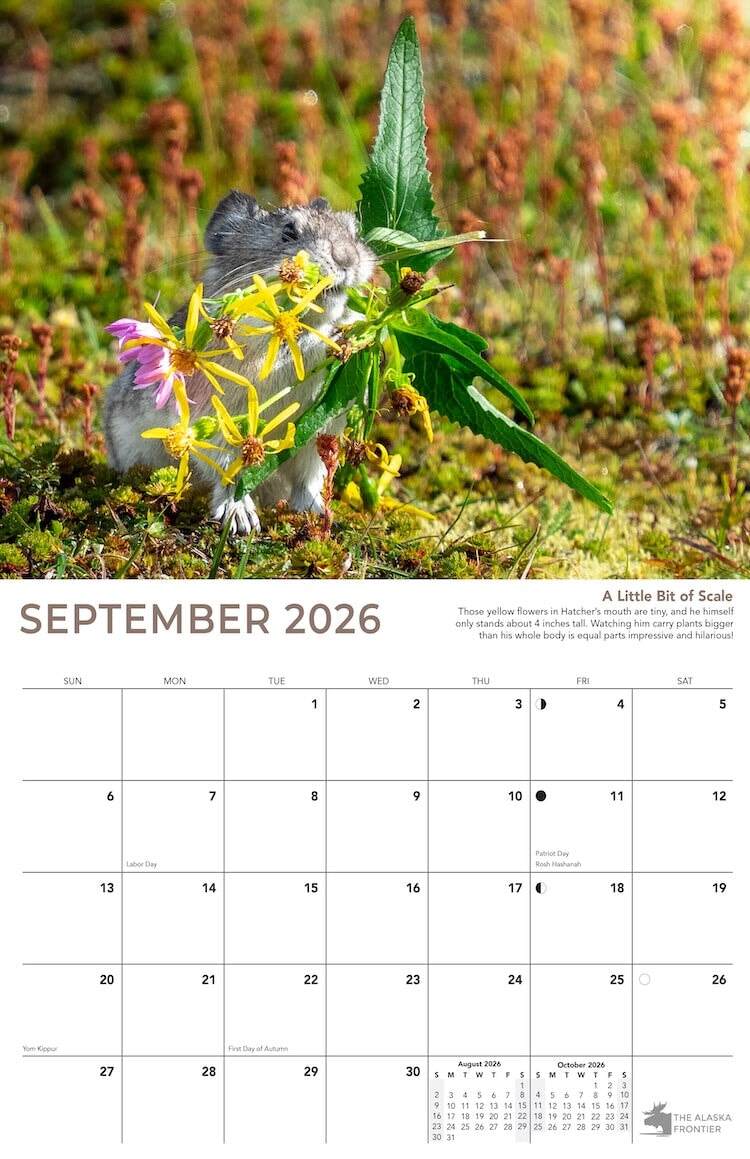 Hatcher the Pika 2026 Calendar