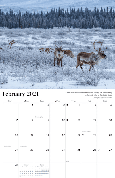 2021 Alaska Wildlife Calendar