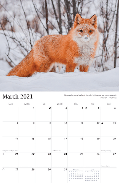 2021 Alaska Wildlife Calendar