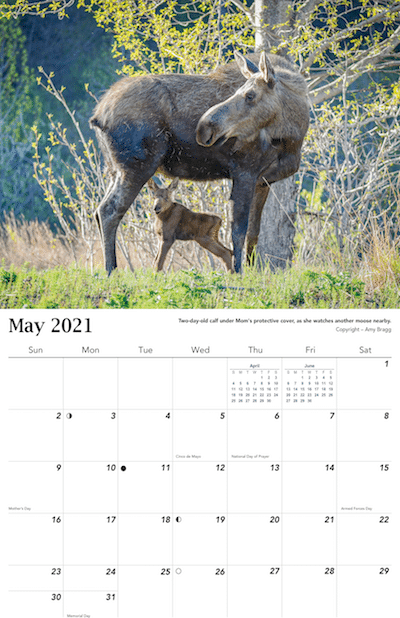 2021 Alaska Wildlife Calendar