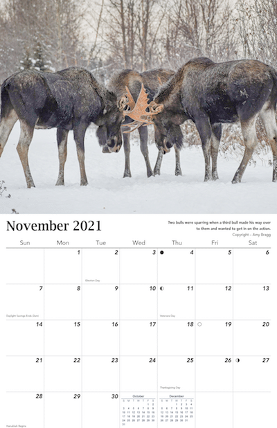 2021 Alaska Wildlife Calendar