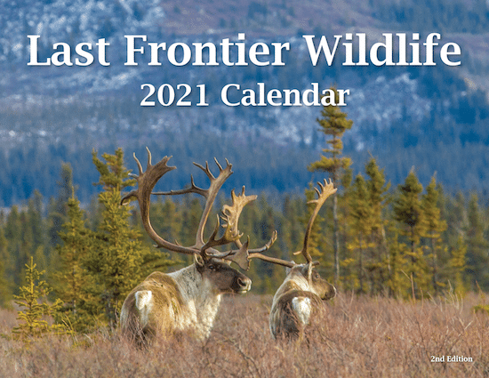 2021 Alaska Wildlife Calendar