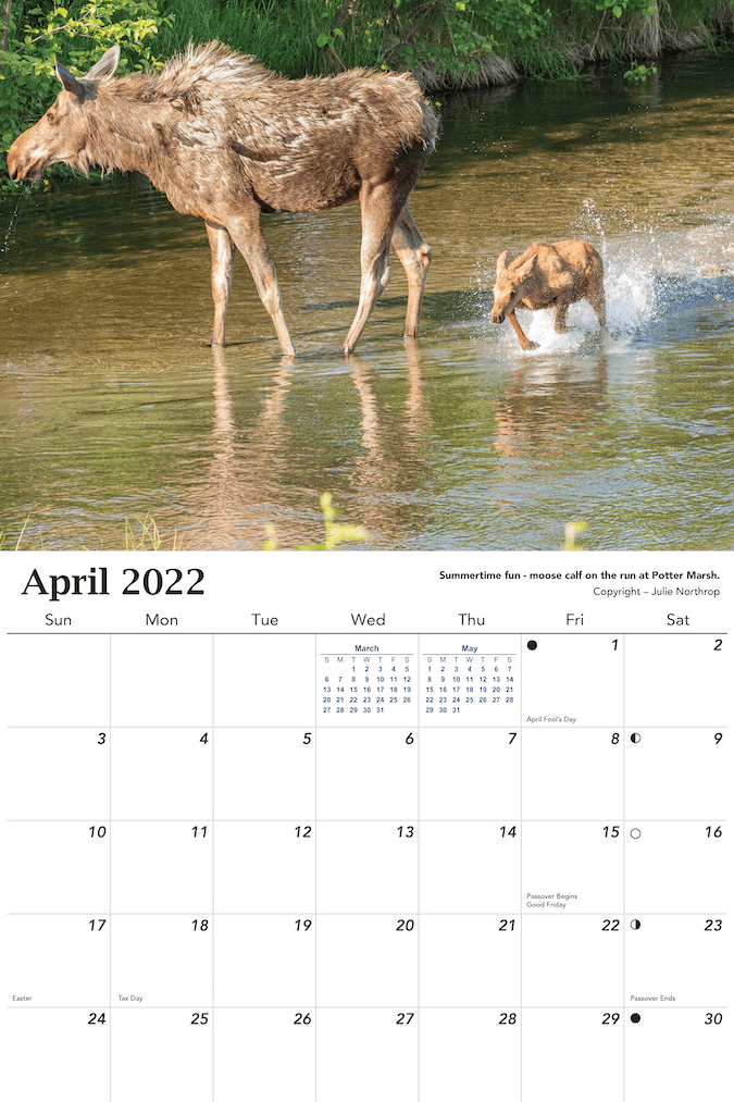 2022 Alaska Calendar