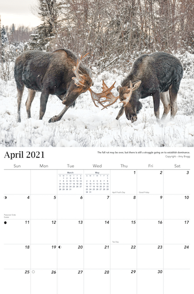 2021 Alaska Calendar